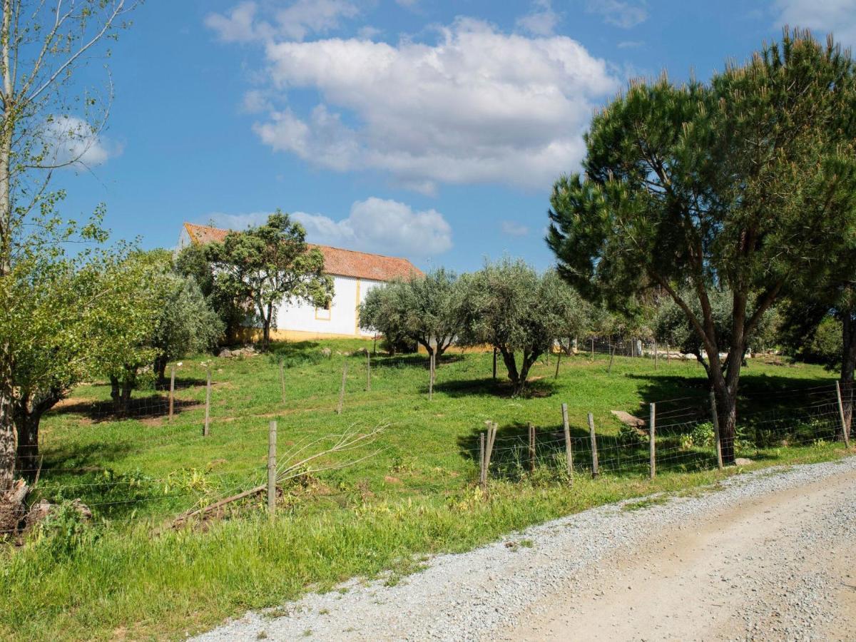 House With Authentic Tiling And Antique Furniture Villa Montemor-o-Novo Bagian luar foto